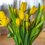 tulipany i żonkile
