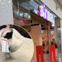 polar Sinsay