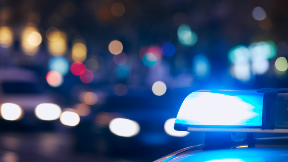 Policja