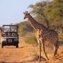 kenia