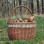 Grzyby