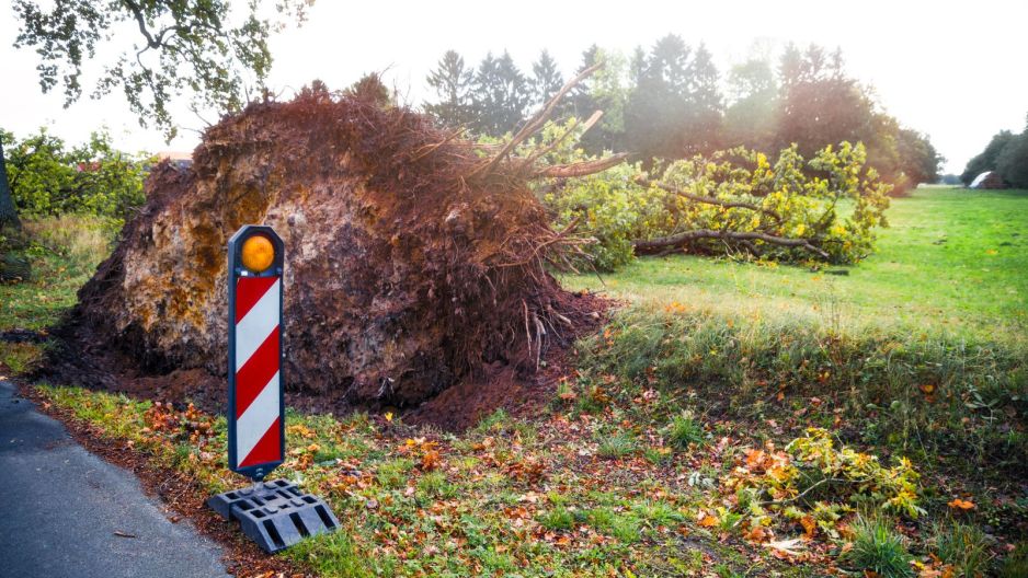 Wichury nad Polską