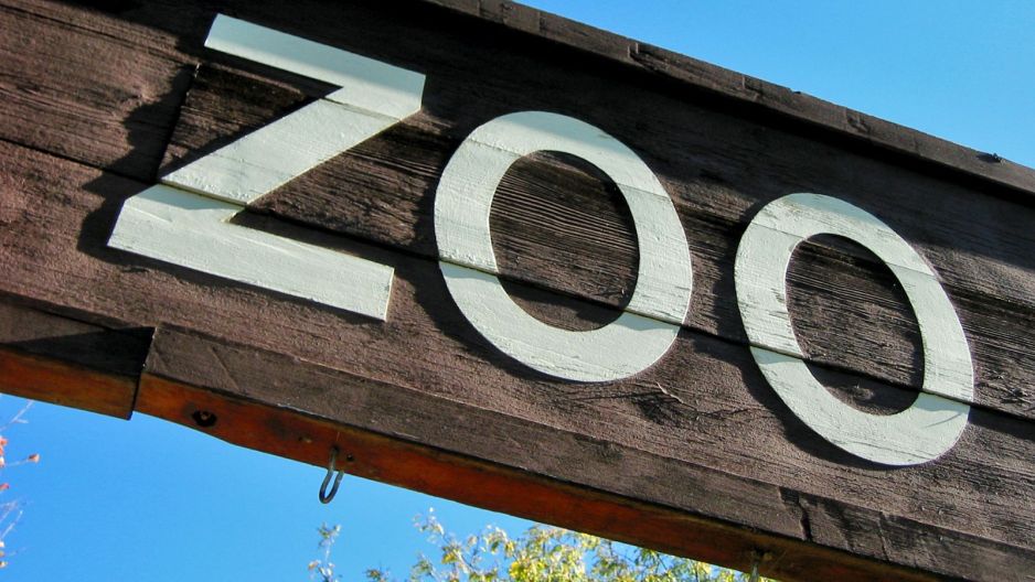 Atak w zoo
