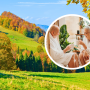 pieniny hotel