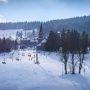 zieleniec