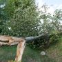 Potężna wichura